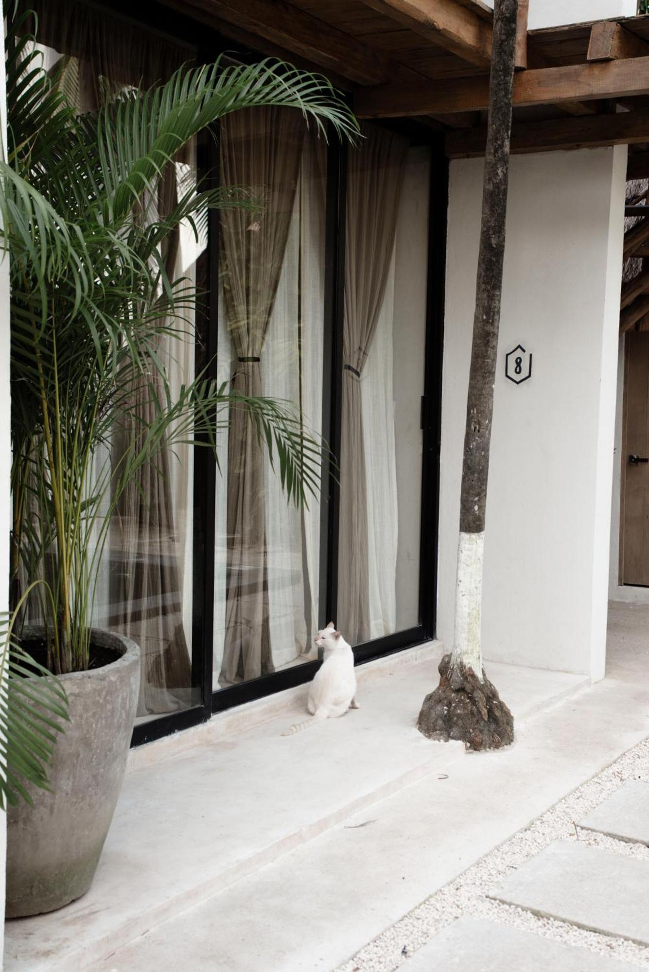 Tuup Tulum Exterior foto